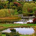 Painted Arboretum