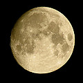 July Moon