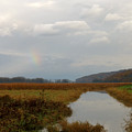 Sunless Rainbow